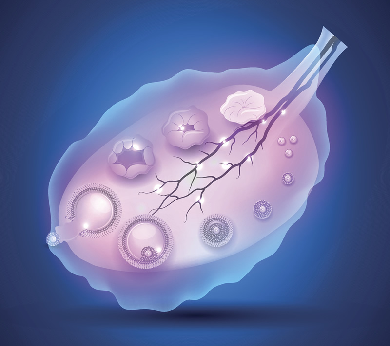 石家庄市三代试管生育费用明细表，都包含哪些？